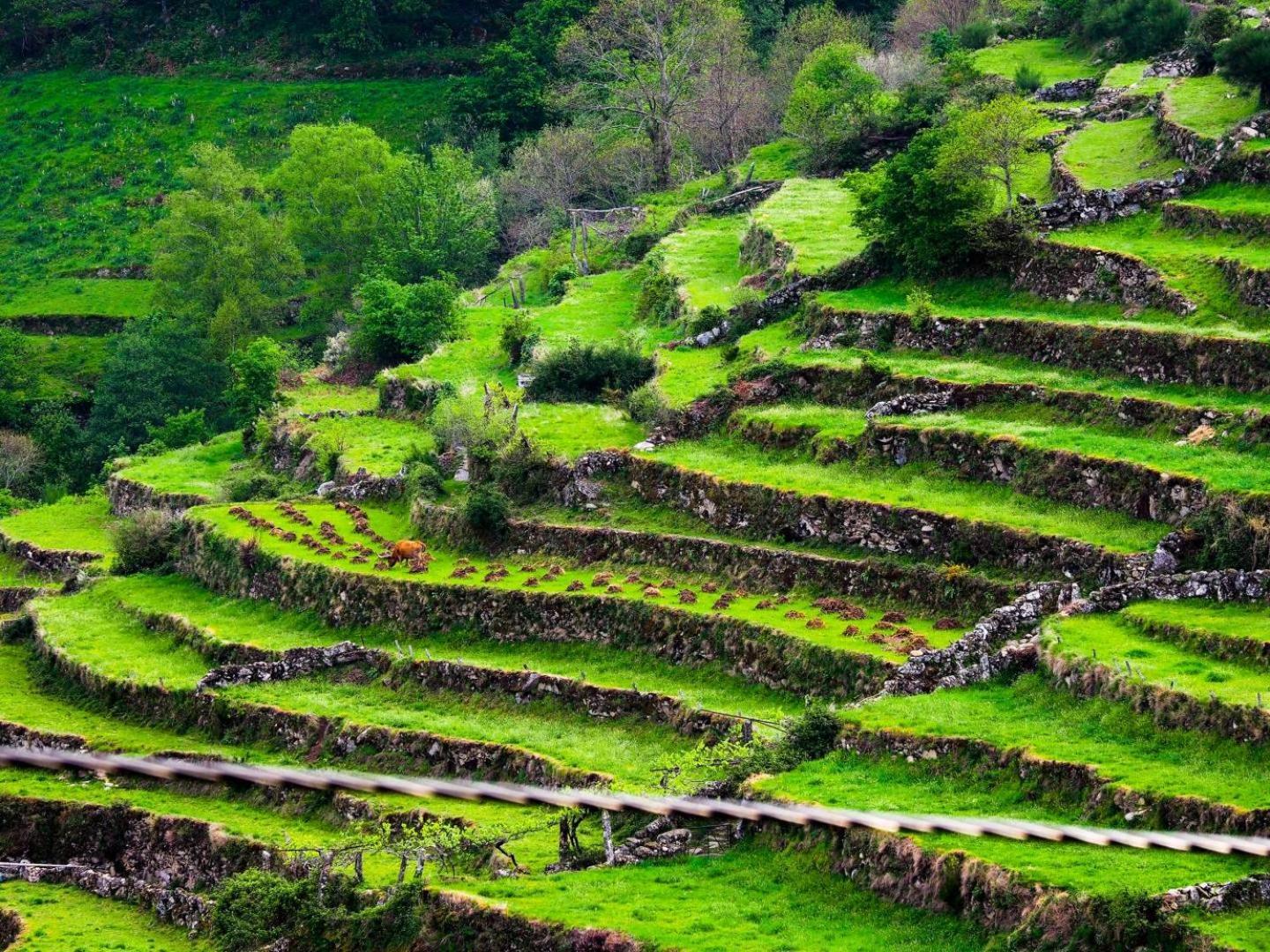 Monção Jardim Da Rosa旅馆 外观 照片